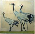 Kraniche Cranes