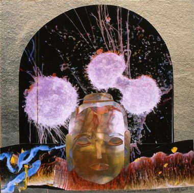 Journey into the universe