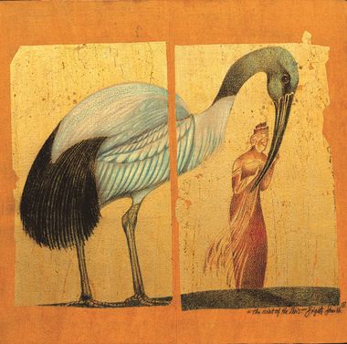 The visit of the Ibis